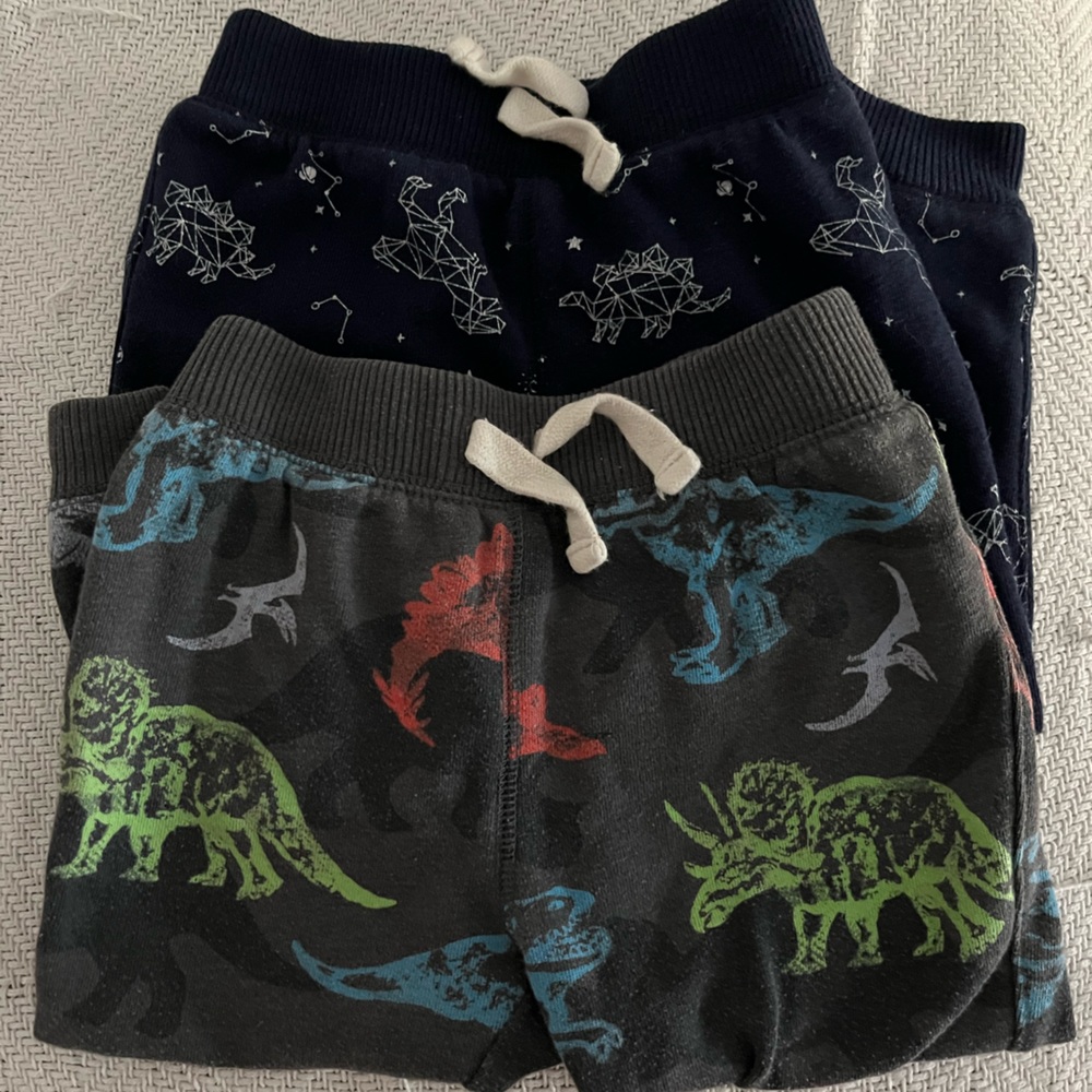 2 fleece lined jogger pants from The Children’s place. Size 2T